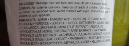 The Face Shop Herb Day 365 Cleansing Foam Lemon