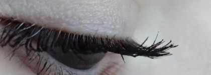 Maybelline The Falsies Push Up Drama #Black