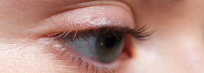 Essence Lash Princess False Lash Effect Mascara black