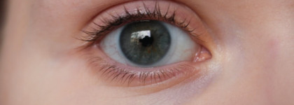 Консилер + хайлайтер от E.l.f Under eye Concealer&Highlighter