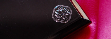 Shiseido Luminizing Satin Face Color WT905