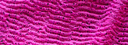 Для тех, кто любит жестко: обзор мочалок