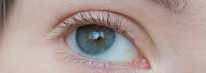 Новинки Relouis