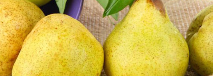 Грушевый сок на белых лепестках... Jo Malone English Pear & Freesia, cologne