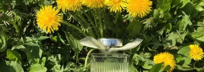 Самый весенний шипр L'eau De Chloe, EDT