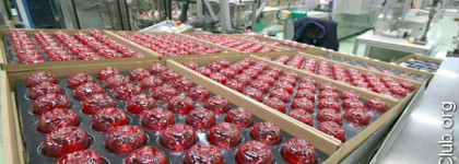 Подделки ароматов Jo Malone London и не только