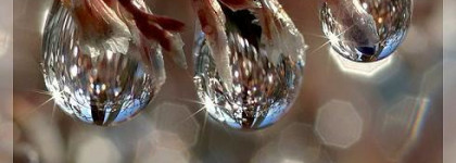 Зимняя Вода от Эллена - L'Eau D'Hiver Editions De Parfums Frederic Malle