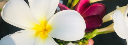 Ароматы лета и отпуска - Maison Margiela Repliсa Beach Walk EDT