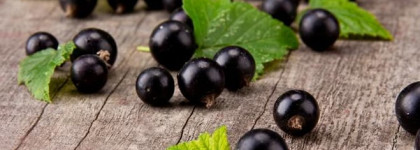 Fun Things Always Happen After Sunset By Kilian, EDP