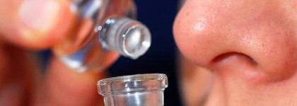 Игра в ольфакторные ассоциации - как мы выбираем и оцениваем аромат