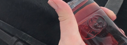 Gucci Guilty Absolute - темная лошадка моей коллекции