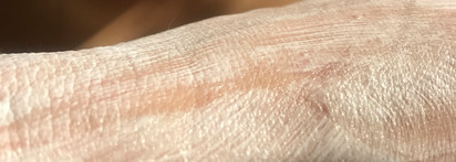 Ecobox Natural Body Cream "Olive Oil"