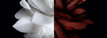 L'Interdit Eau De Parfum Rouge Givenchy