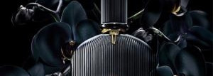 Black Orchid Tom Ford