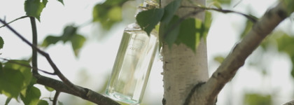 Реки Cartier - Luxuriance, EDT