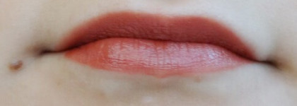 Терракотовое настроение : Ellis Faas Creamy lips L106