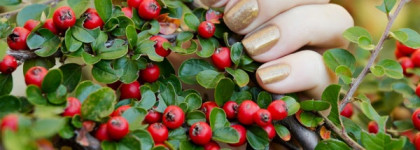 Настоящая золотая осень с Avon Gel Finish Glimmer