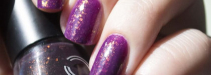 Пурпурный ниндзя №1 Rain от Dance Legend