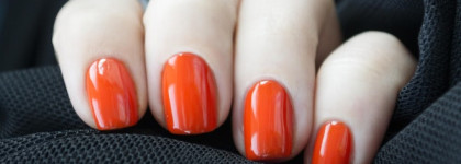 Моя оранжевая весна Artdeco Nail Lacquer #654