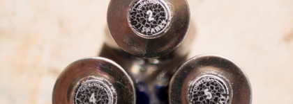 Dance Legend Sparky: #2 Royal Blood, #4 Aviator, #5 Gravity Falls