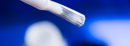 В поисках идеального белого: обзор имеющихся экземпляров