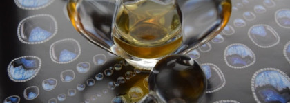 Аромат томности и неги  Farouche  от Nina Ricci