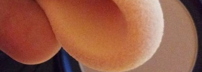 Kanebo Sensai Total Finish Natural Matte SPF 15 в оттенке TM 03 Honey Beige