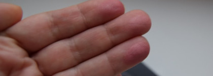 Румяна Kanebo Sensai - Cheek Blush удачный "зимний" оттенок