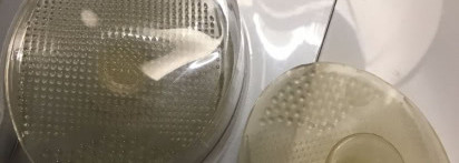 Маленькие гаджеты красоты для ухода в домашних условиях