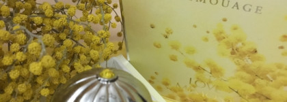 День когда мимоза торжествует! Love Mimosa Amouage - фантазия на тему акватики