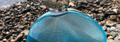 Aquawoman Rochas "Сказка про Русалку"