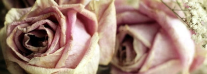 Роза авантюристка! Rose 31 Le Labo