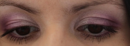 Diorshow Mono Trianon Edition Wet&Dry Backstage Eyeshadow 170 Angelique
