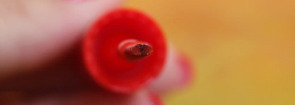 Golden Rose Color Expert Nail Lacquer №24