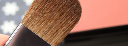 Shiseido Luminizing Satin Face Color RS 302 Tea Rose