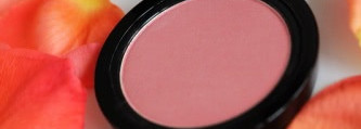 Giorgio Armani Cheek Fabric Sheer Blush Blush Transparent #504 Intimate