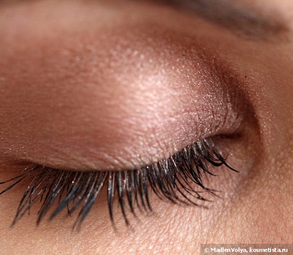 Shiseido Luminizing Satin Eye Color RD709
