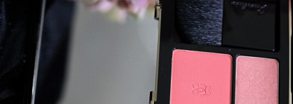 Guerlain Rose Aux Joues Blush Duo 01 Peach Boy