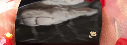 Lancome Blush Subtil Long Lasting Powder Blusher #041