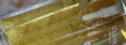 Liceko Gold Foil Diamond Rank Care Gold Foil Brighten And Moisten Essence