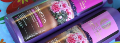 Natura Kamchatka By Natura Siberica Шампунь + Бальзам для волос Царский Эликсир