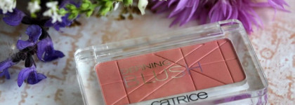 Catrice Defining Blush #090 Mandy-rine