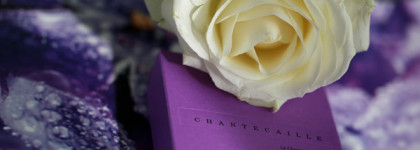 Chantecaille Le Chrome Luxe Eye Duo Piazza San Marco