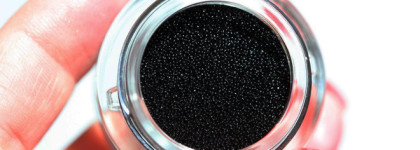 Catrice Liquid Gel Cushion Eye Liner Ultra Black #010 The Black Sheep