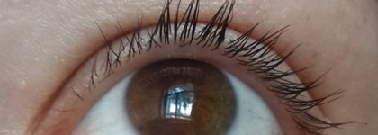 Основа под тушь Estee Lauder Little Black Primer Tint. Amplify. Set