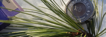 Тени для любой девушки. Urban Decay Eyeshadow #Bust