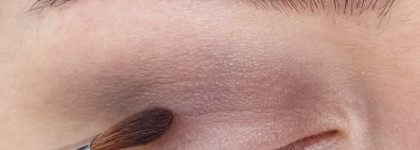 Сезону черники посвящается