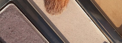 Сезону черники посвящается