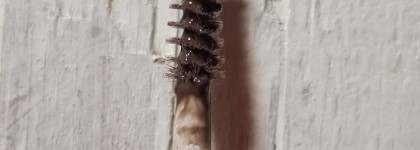 Только он. Моя прелесть оттеночный гель для бровей и ресниц Art-visage Fix&Care # Коричневый