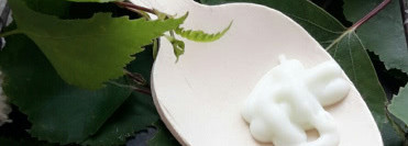 Утро в лесу с Yves Rocher